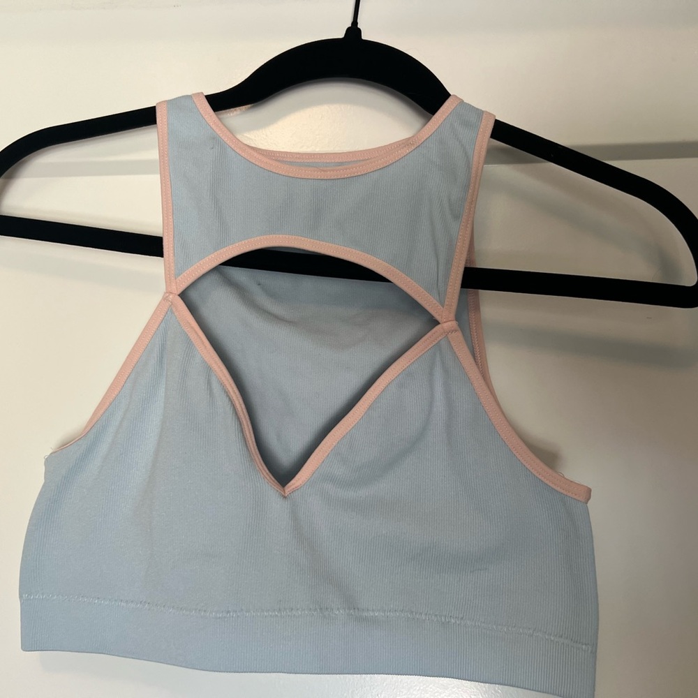 Urban Outfitters Blue and Pink Sports Bra
